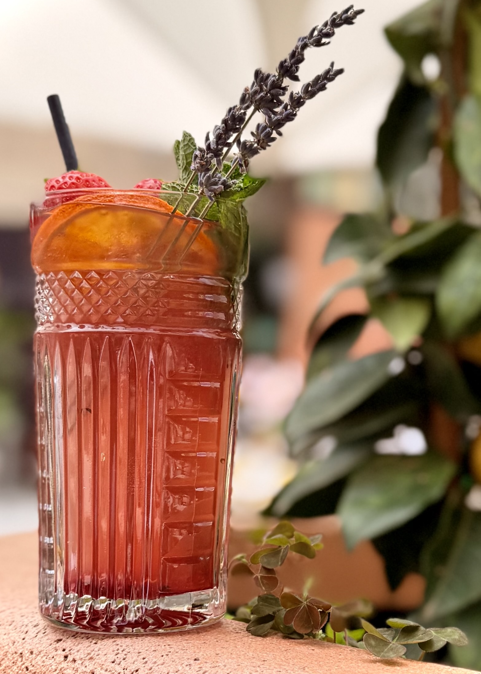 bar à cocktail restaurant place du pin nice