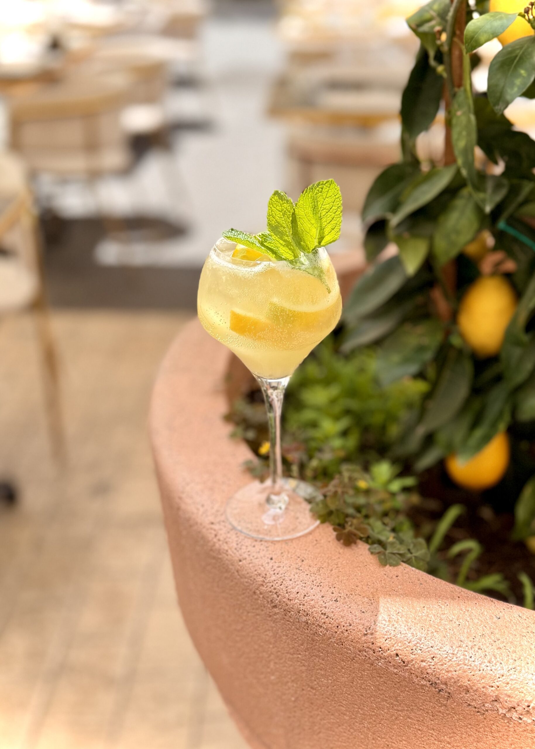 spritz sur la place du pin nice