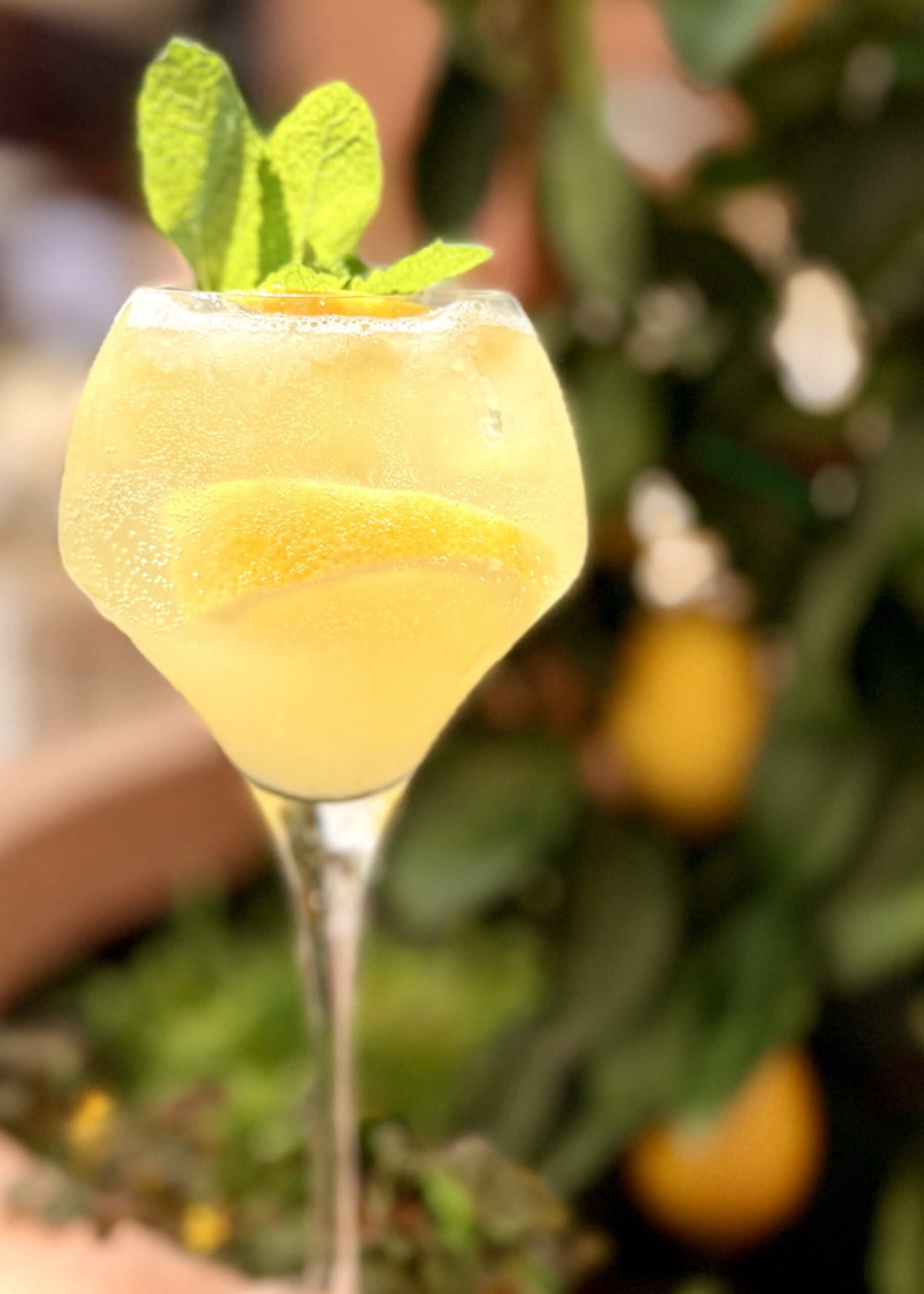 meilleur restaurant à nice sur la place du pin