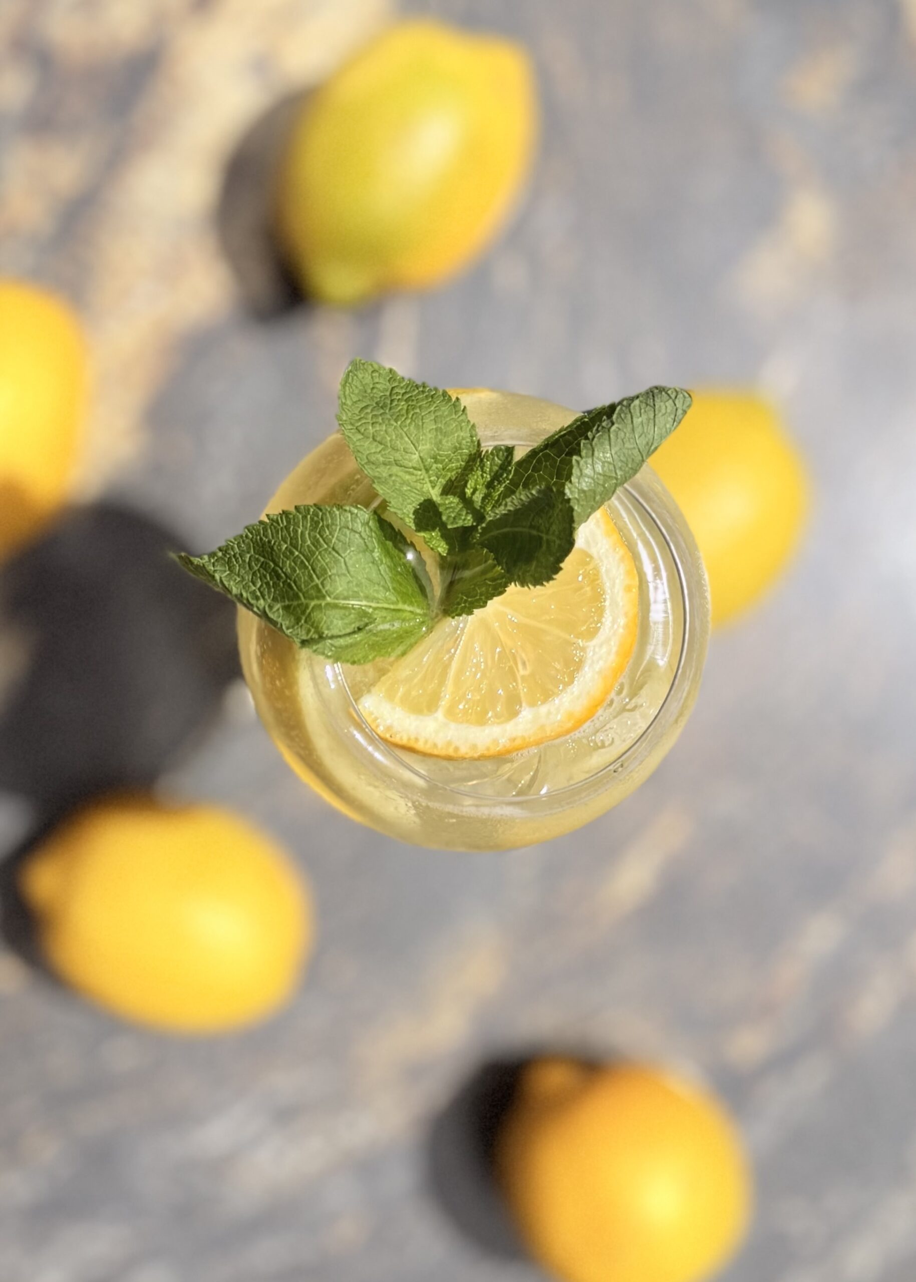 Client en terrasse dégustant une cuisine du Sud à Nice